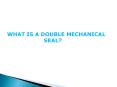 What is a double mechanical seal? - LEAK-PACK PowerPoint PPT Presentation