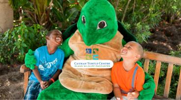 Delve into the Beauty of the Eastern Side of Grand Cayman