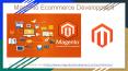 magento ecommerce development