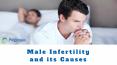 Male Infertility Causes PowerPoint PPT Presentation