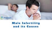 Male Infertility Causes