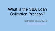 SBA Loan Collection Process