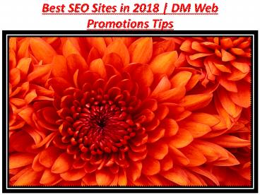 New Website Promotion | DM Web Promotions Tips (5)