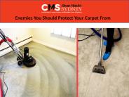 Tile and Grout Cleaning Sydney