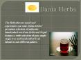 Best Darjeeling Tea Brands In India (1) PowerPoint PPT Presentation