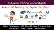 industrial training in chandigarh