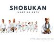 Martial Arts Training in Perth | Shobukan Martial Arts PowerPoint PPT Presentation
