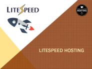 Litespeed Hosting (6)