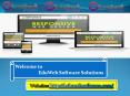 Best Software Company in Balasore PowerPoint PPT Presentation