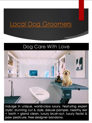Dog Groom West Hollywood CA