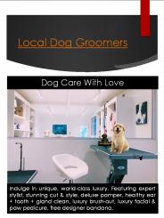 Dog Groom West Hollywood CA (1)