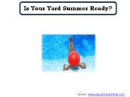 Is Your Yard Summer Ready?