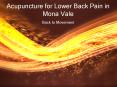 Acupuncture for Lower Back Pain in Mona Vale - www.backtomovement.com.au PowerPoint PPT Presentation