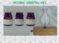 Essential Oils PowerPoint PPT Presentation