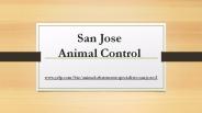 Dead Animal Removal San Jose