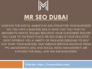 Best SEO Company In Dubai