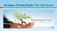 Advantages of Getting Regular Tree Care Services PowerPoint PPT Presentation