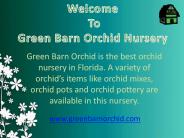 Get Free Orchid Nursery Classes in Florida