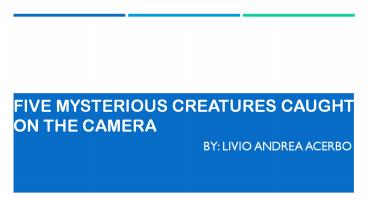 Mysterious Creatures Caught on Camera by Livio Andrea Acerbo