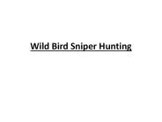 Wild Bird Sniper Hunting