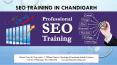 whats is SEO | SEO Training In Chandigarh PowerPoint PPT Presentation