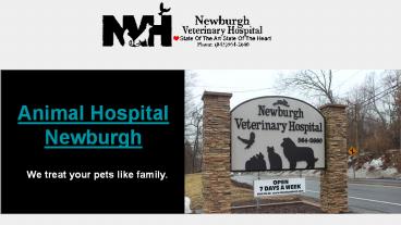 Best Animal Hospital in Newburgh
