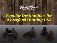 Popular Destinations For Waterfowl Hunting USA