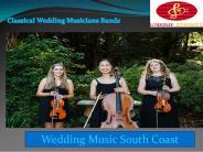Hire The Best Wedding Musicians at  South Coast