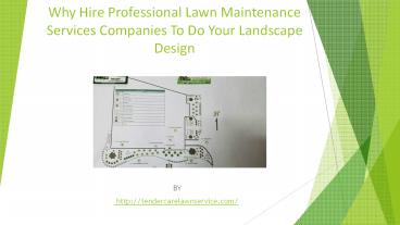 Why Hire Professional Lawn Maintenance Services Companies To Do Your Landscape Design (1)