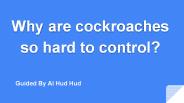 Why are cockroaches so hard to control?