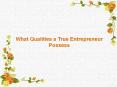 David Borshell | What Qualities a True Entrepreneur Possess PowerPoint PPT Presentation