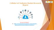 Cellular IoT Industry Market Research Report