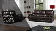 Have Some Focus in Leather Lounge Options