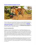 Planning the Best Budget Tour Packages in Jim Corbett