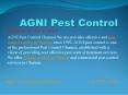 pest control service in chennai PowerPoint PPT Presentation