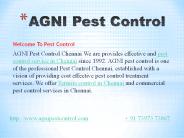 termite control in chennai