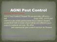 termite control in chennai (1) PowerPoint PPT Presentation