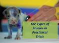 Types of Preclinical Studies PowerPoint PPT Presentation