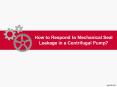 How to Respond to Mechanical Seal Leakage in a Centrifugal Pump? - LEAK-PACK PowerPoint PPT Presentation