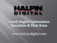 Search Engine Optimization Specialists & Their Roles