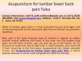 Acupuncture for lumbar lower back pain Tulsa PowerPoint PPT Presentation