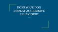 DOES YOUR DOG DISPLAY AGGRESSIVE BEHAVIOUR? PowerPoint PPT Presentation