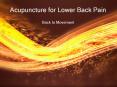 Acupuncture for Lower Back Pain - www.backtomovement.com.au PowerPoint PPT Presentation
