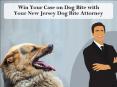 Win Your Case on Dog Bite with Your New Jersey Dog Bite Attorney PowerPoint PPT Presentation