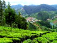 Book Ooty Tour Packages at Best Price by ShubhTTC