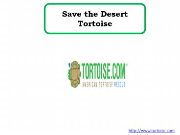 Save the Desert Tortoise