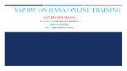 SAP BW on HANA Tutorial PPT