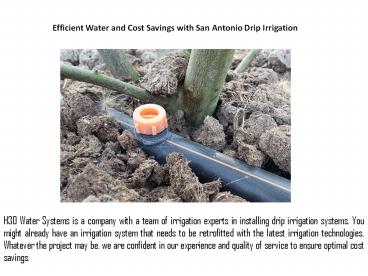 We Install Retaining  Walls and Fencing!