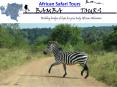 African Safari Tours PowerPoint PPT Presentation