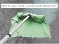 How to Stop Mold Growth in Wet Basements by Carolina Water Damage Restoration PowerPoint PPT Presentation